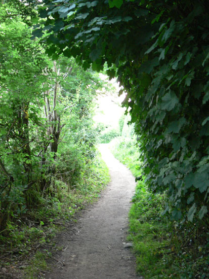 path into green